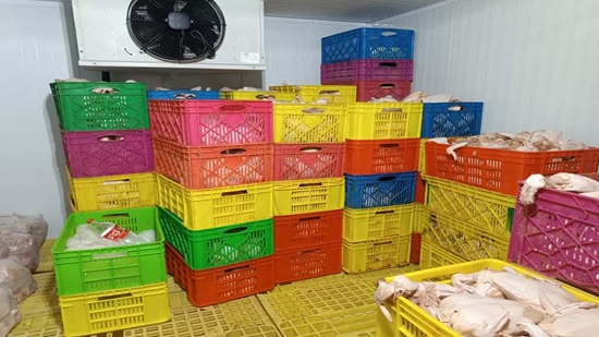 کشف و پلمپ یک واحد غیرمجاز بسته بندی مرغ در شهرستان اسلامشهر 